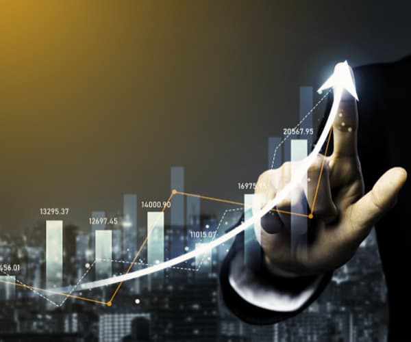 Professional financial consultation
